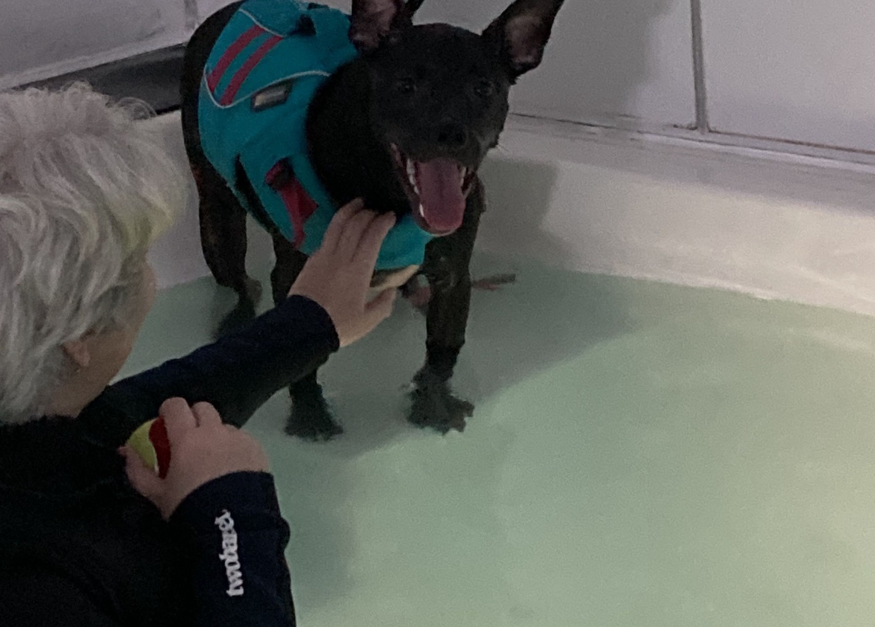 Pampurr Your Pets Canine Hydrotherapy 