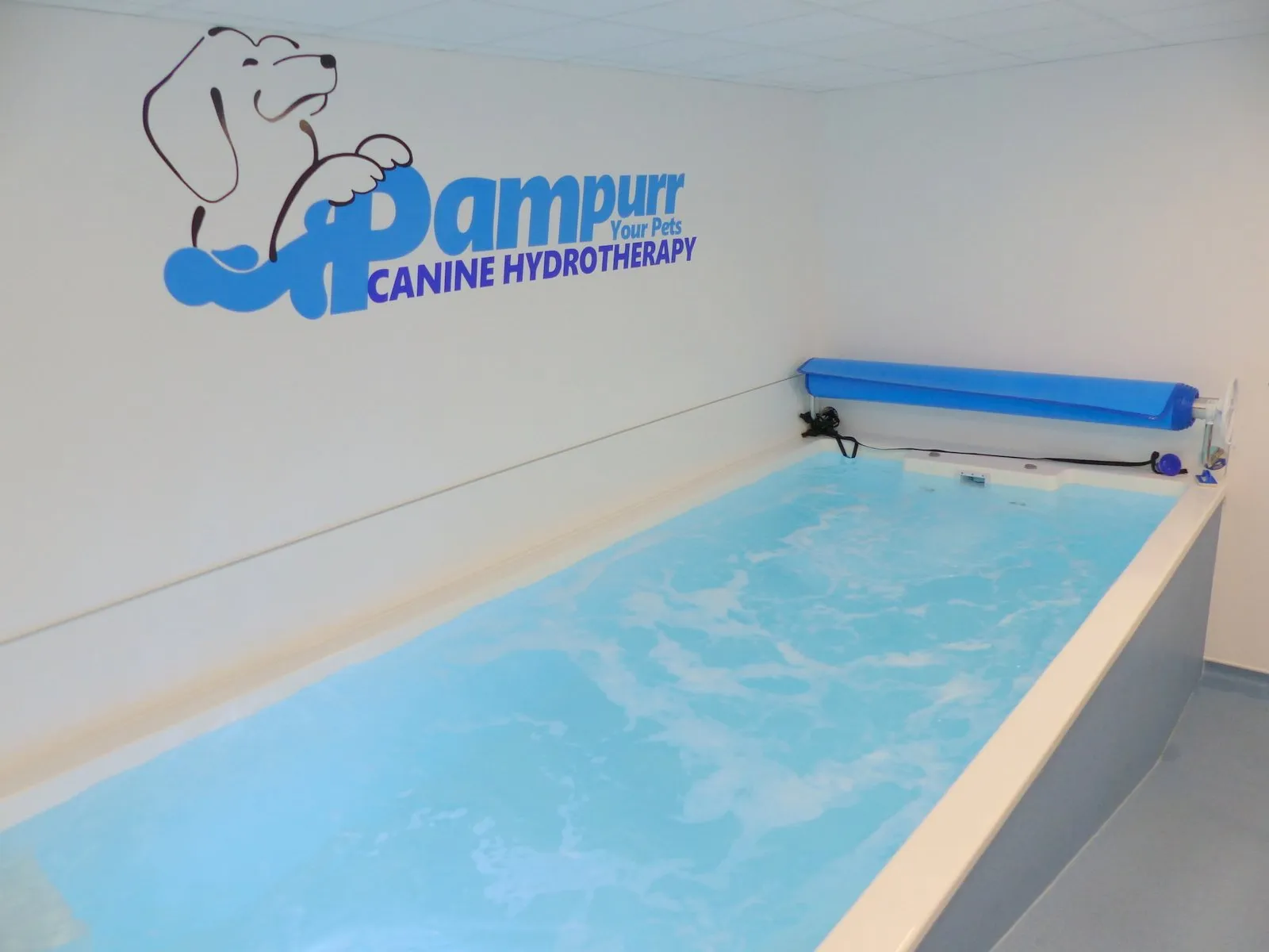 Pampurr Your Pets Canine Hydrotherapy