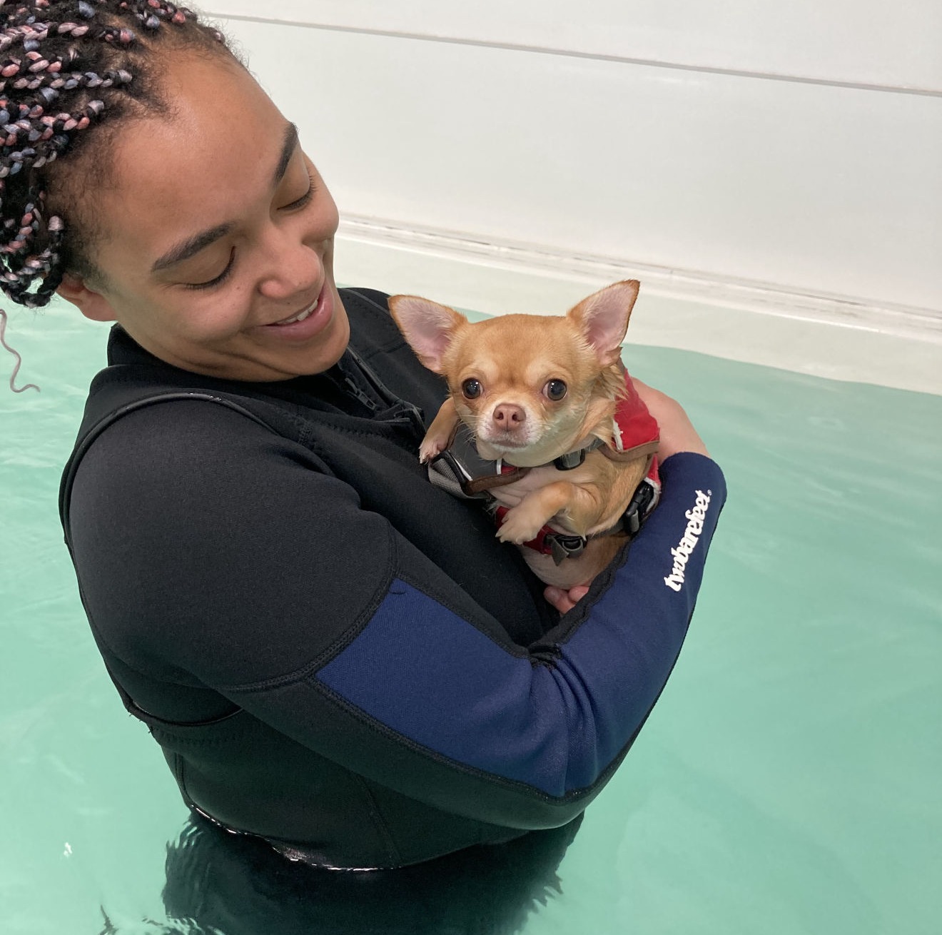 Pampurr Your Pets Canine Hydrotherapy 